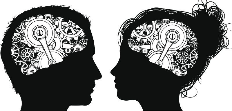 cerveau differences homme femme